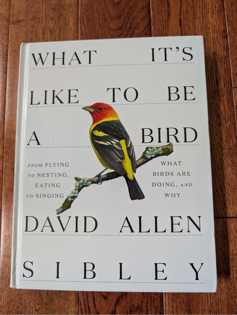 🦩What It's Like to Be a Bird Hardcover Oversized Book David Allen Sibley